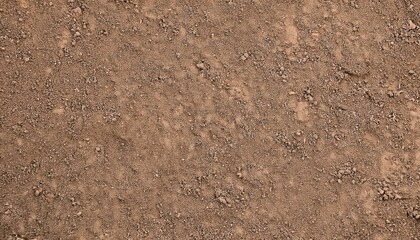 Rich, Dark Soil Texture: A Close-Up View of Fertile Earth