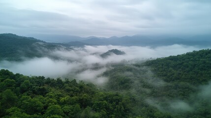 Serene hilly landscape enveloped in fog showcasing lush greenery and majestic mountains under a humid sky in a tranquil countryside setting