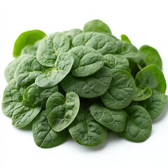 spinach leaves, isolated on white background, hd.