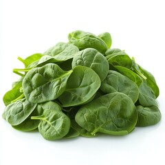Obraz premium spinach leaves, isolated on white background, hd.