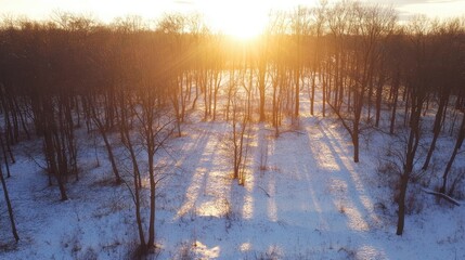 Obraz premium Aerial winter landscape sunlight shining over snow-covered forest trees creating shadows on white ground during a clear sunny day