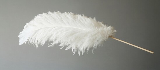 Delicate white feather resting on a wooden stick perfect for artistic photography and creative projects showcasing grace and elegance