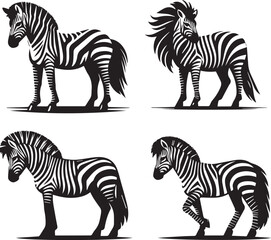 Zebtra vector in black and white