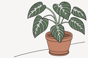 plant in a pot