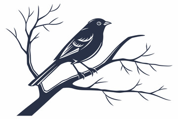 bird on a branch