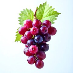 Fototapeta premium bunch of red grapes