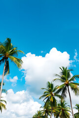 Obraz premium A beautiful view of tall palm trees against a bright blue sky with fluffy white clouds. The scene evokes a tropical paradise, perfect for relaxation and vacation vibes.