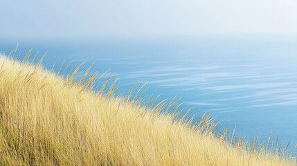 Golden Grass Meets Azure Ocean: A Coastal Serenity