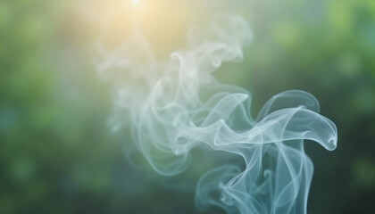 Obraz premium Burning sage bundle, gentle smoke, ethereal quality, soft green background 
