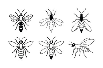 Ensign Wasp (Evaniidae) insect design, labeled line art vector illustration.