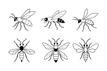 Ensign Wasp (Evaniidae) insect design, labeled line art vector illustration.
