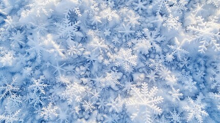 Obraz premium A snow covered field with many snowflakes. The snow is white and the sky is blue