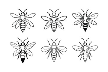 Sand Wasp (Bembicini) insect design, labeled line art vector illustration.