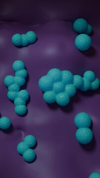 Methicillin-resistant Staphylococcus aureus (MRSA) bacteria