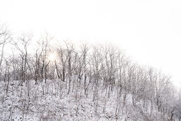 a view of a snow-capped mountain peak as the morning sun rises.
