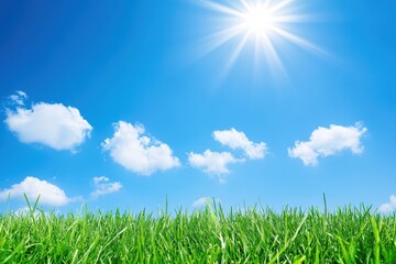 Fototapeta premium Bright Sunny Day with Lush Green Grass Under a Clear Blue Sky and Fluffy Clouds