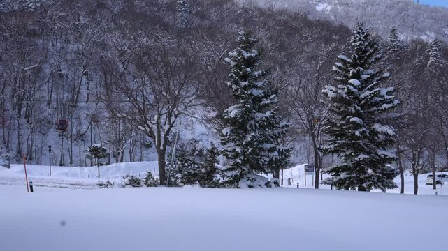 Snow covered pine trees with Cable car used to ascend mountain views and skiers go up tp playing sport in Winter at Kiroro Snow Sapporo, Hokkaido Destination for travelers holiday