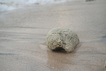A smooth stone rests on the sandy beach