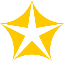 Decorative Star Icon