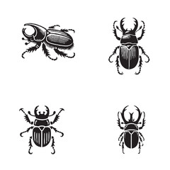 Detailed Silhouette of a Mountain Pine Beetle Isolated on White Background in Monochrome