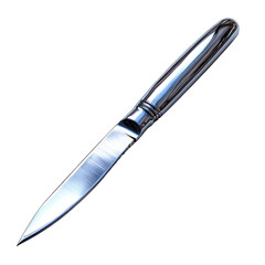 A sleek stainless steel knife with a polished handle and blade.