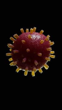 HIV, or Human Immunodeficiency Virus, is a virus that attacks the body's immune system, specifically targeting CD4 cells (T cells)