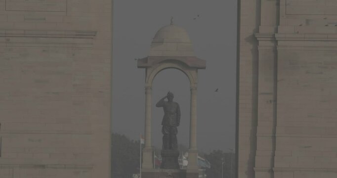 Delhi, India. Birds flying around of Statue of Subhas Chandra Bose. Netaji's Statue, is a monolithic statue made of black granite, dedicated to Netaji Subhas Chandra Bose, Indian freedom fighter and