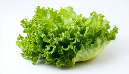 Fresh green lettuce head on a clean white background