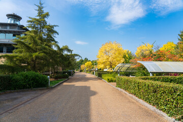 Beautiful autumn in Cambridge near the centre of Mathematical sciences 