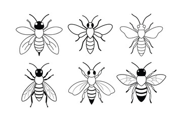 Sweat Bee (Halictidae) insect design, labeled line art vector illustration.