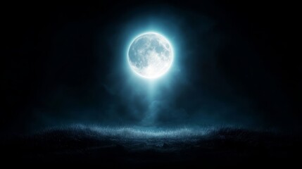 Fototapeta premium A full moon in the dark sky over a grassy field