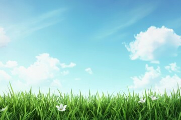 Fototapeta premium Serene green valley with expansive sky rural landscape nature scene tranquil environment panoramic view peaceful ambiance
