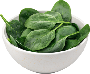 Spinach Vegetable PNG, Spinach HD Image