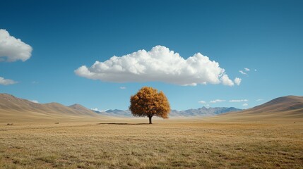 A lone tree in the middle of a grassy field under a cloudy sky