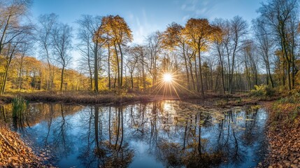 Beautiful sunshine in the forest