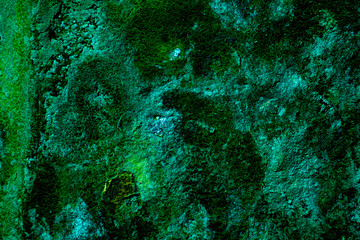 Textured Abstract Green Background With Organic and Natural Elements