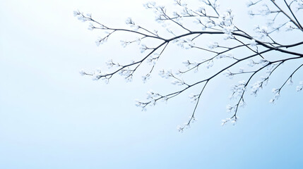 Frosty winter branch against a pale blue sky, ideal for seasonal greeting cards or winter-themed designs.
