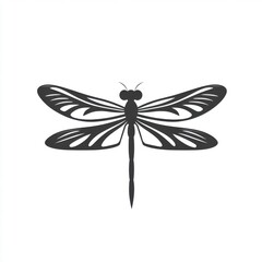 A detailed silhouette of a dragonfly, showcasing intricate wing patterns and a slender body.
