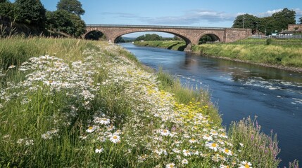 Fototapeta premium Stone bridge spanning river with wildflowers along bank.