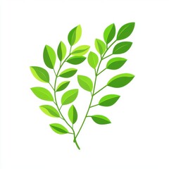 Two lush green branches with vibrant leaves against a clean white background.