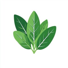 A vibrant cluster of fresh green spinach leaves against a clean white background.