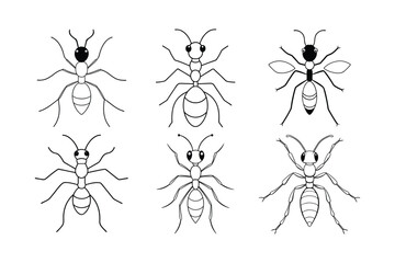 Harvester Ant (Pogonomyrmex) design, labeled line art vector illustration.
