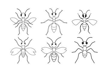 Leafcutter Ant (Attini) insect design, labeled line art vector illustration.