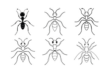 Sahara Desert Ant (Cataglyphis)  insect design, labeled line art vector illustration.