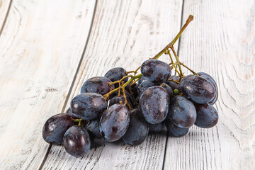 Blue juicy sweet ripe Grape bunch