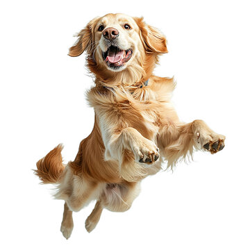 a dog is jumping high in the air PNG image, PNG file, Generative art.