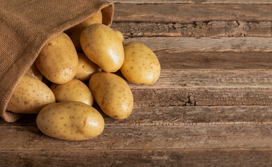 A sack of potatoes spilled over an old wooden table, copy space.