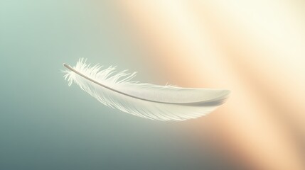 Fototapeta premium Delicate white feather floating gracefully against a soft, blurred background showcasing natural light effects