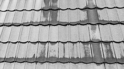 The abstract interplay of light and shadow highlights the wet streaks left by recent rain on a patterned tile roof, creating a textured monochrome scene