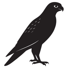 Fototapeta premium Falcon silhouette vector illustration